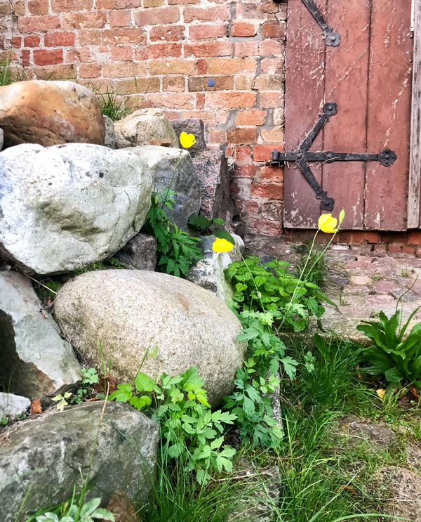Ratzeburg © Sindy Altenburg